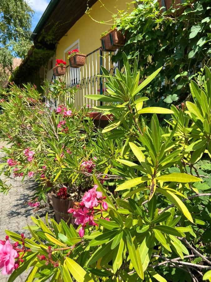 Gemutliches Zimmer Im Innenhof จัวส์ ภายนอก รูปภาพ